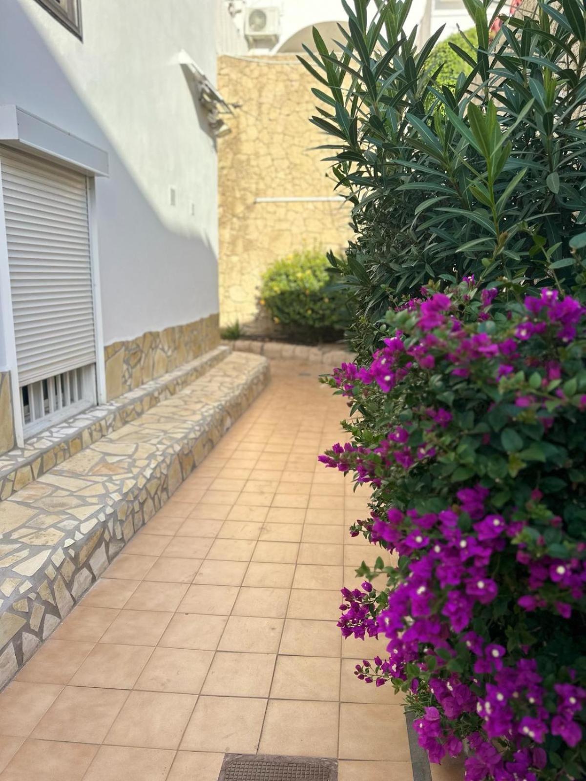 Sunny Sea View Apartment Center Of Las Americas Playa de las Americas  Ngoại thất bức ảnh